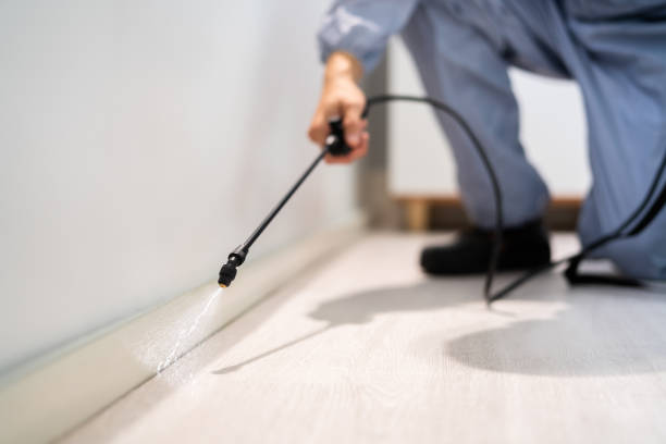Licensed Pest Control service in North Randall, OH - Show Me Pest Control